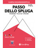 Passo dello Spluga (313)